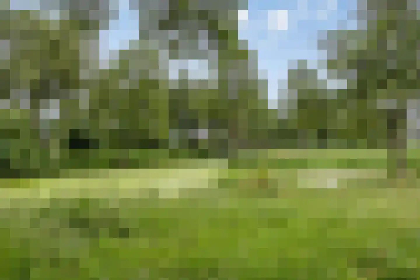 Kruisven 21 Tolbert thumbnail 43