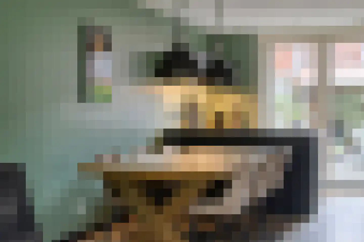 Kruisven 21 Tolbert thumbnail 5