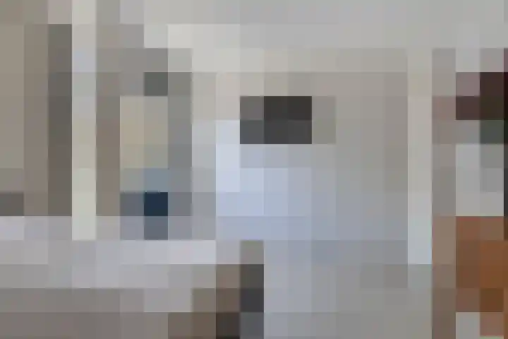 Kruisven 24 Tolbert thumbnail 19