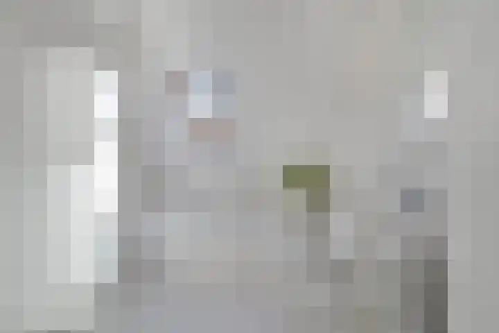 Kruisven 24 Tolbert thumbnail 21
