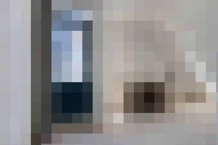 Kruisven 24 Tolbert thumbnail 24