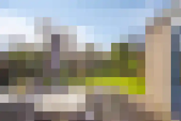 Kruisven 24 Tolbert thumbnail 30
