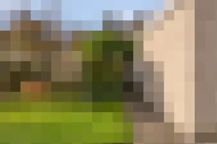 Kruisven 24 Tolbert thumbnail 34