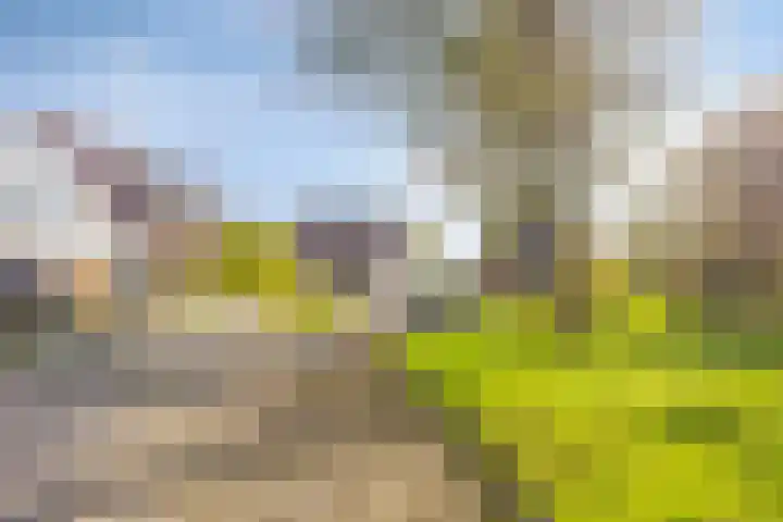Kruisven 24 Tolbert thumbnail 36