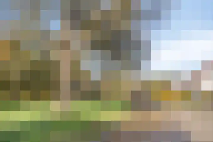 Kruisven 24 Tolbert thumbnail 37
