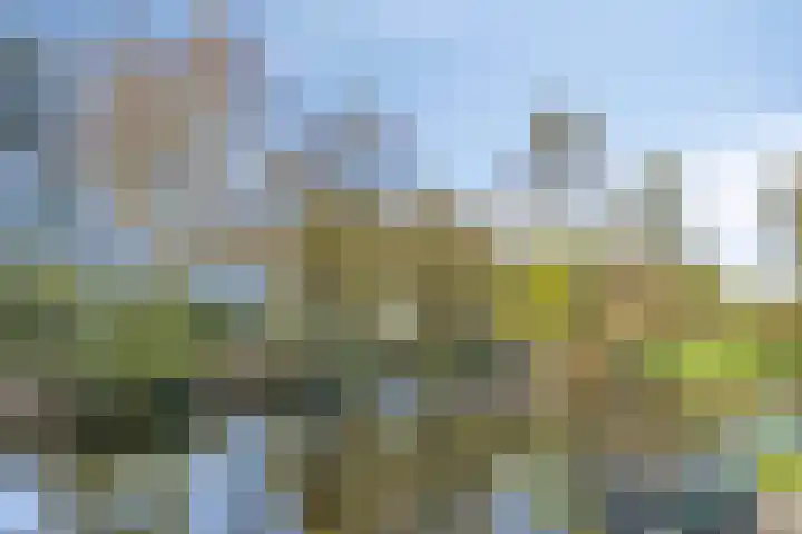 Kruisven 24 Tolbert thumbnail 38