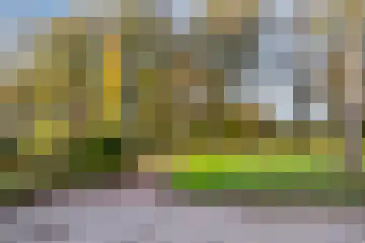 Kruisven 24 Tolbert thumbnail 39