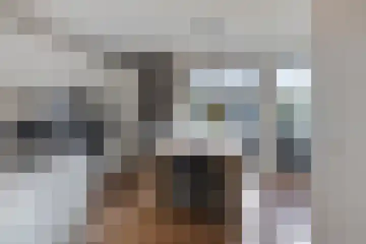 Kruisven 24 Tolbert thumbnail 4