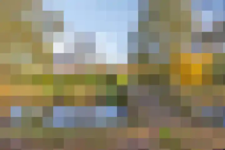 Kruisven 24 Tolbert thumbnail 40