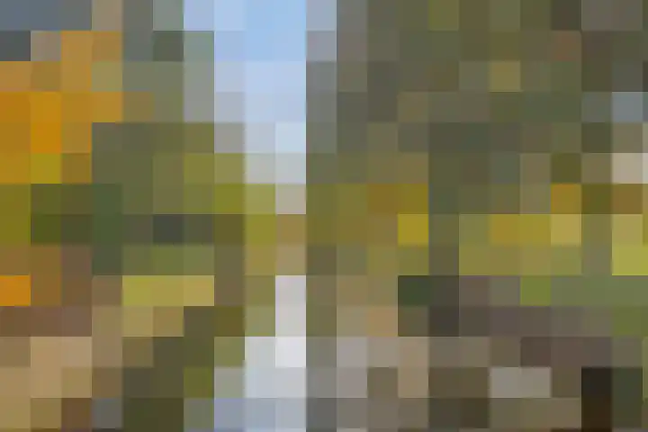 Kruisven 24 Tolbert thumbnail 41