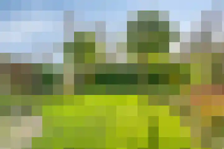 Kruisven 24 Tolbert thumbnail 5