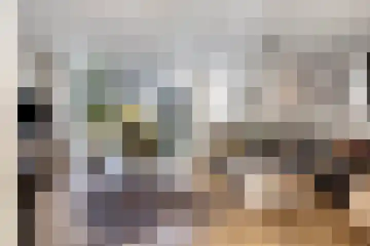 Kruisven 24 Tolbert thumbnail 8