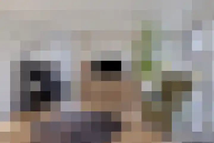 Kruisven 24 Tolbert thumbnail 9