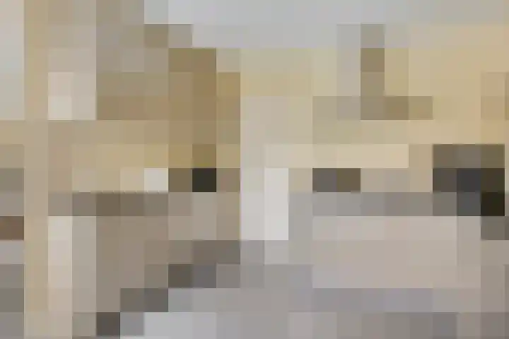 Kruisvoorde 3 Ugchelen thumbnail 10