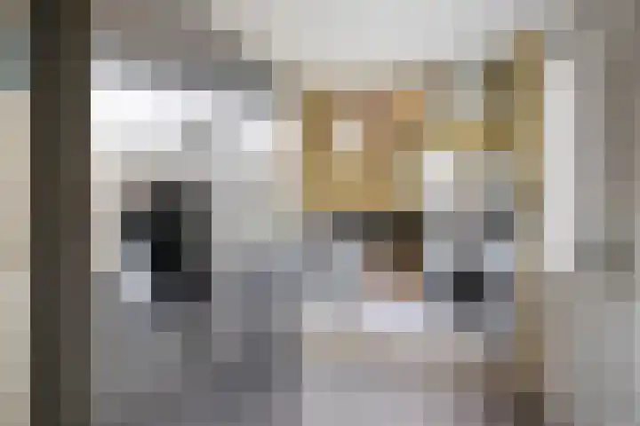 Kruisvoorde 3 Ugchelen thumbnail 12