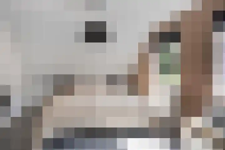 Kruisvoorde 3 Ugchelen thumbnail 23