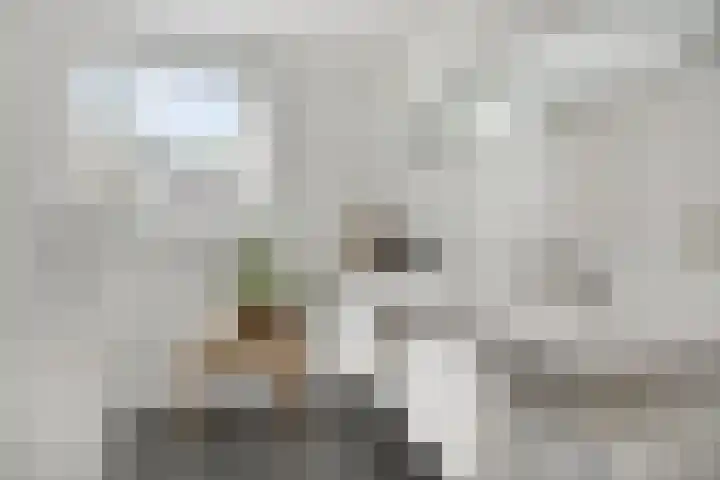 Kruisvoorde 3 Ugchelen thumbnail 26