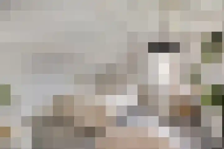 Kruisvoorde 3 Ugchelen thumbnail 28