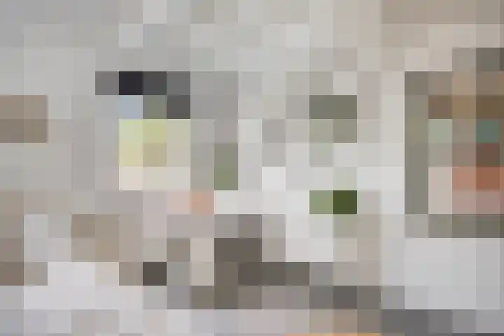 Kruisvoorde 3 Ugchelen thumbnail 29