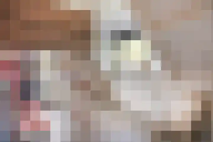 Kruisvoorde 3 Ugchelen thumbnail 30
