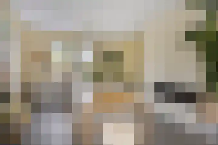 Kruisvoorde 3 Ugchelen thumbnail 8