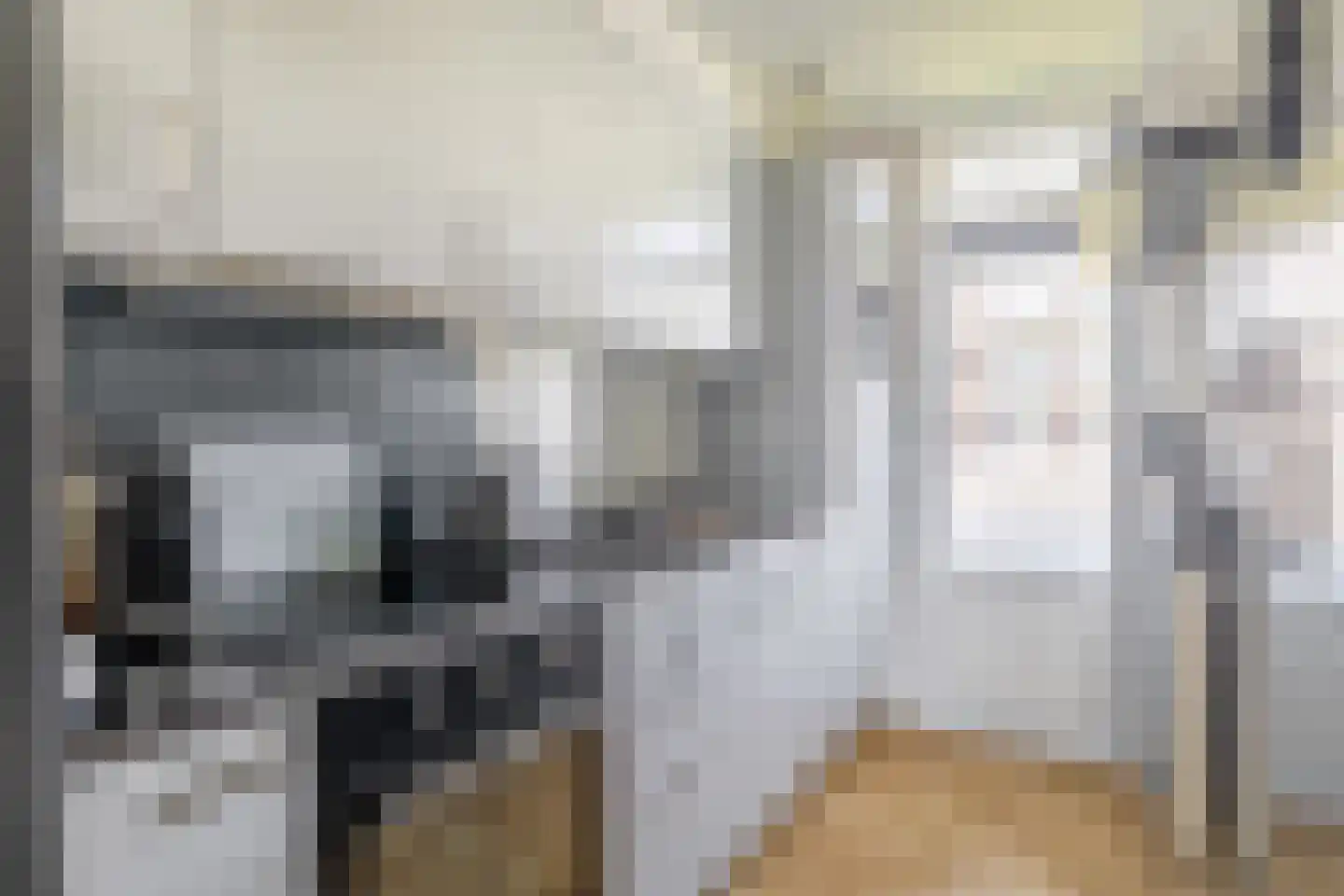 Kruisvoorde 36 Rotterdam thumbnail 18