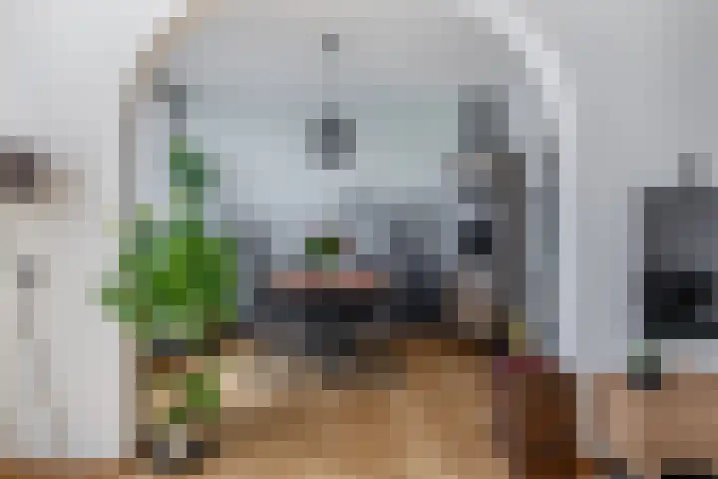 Kruisvoorde 36 Rotterdam thumbnail 20