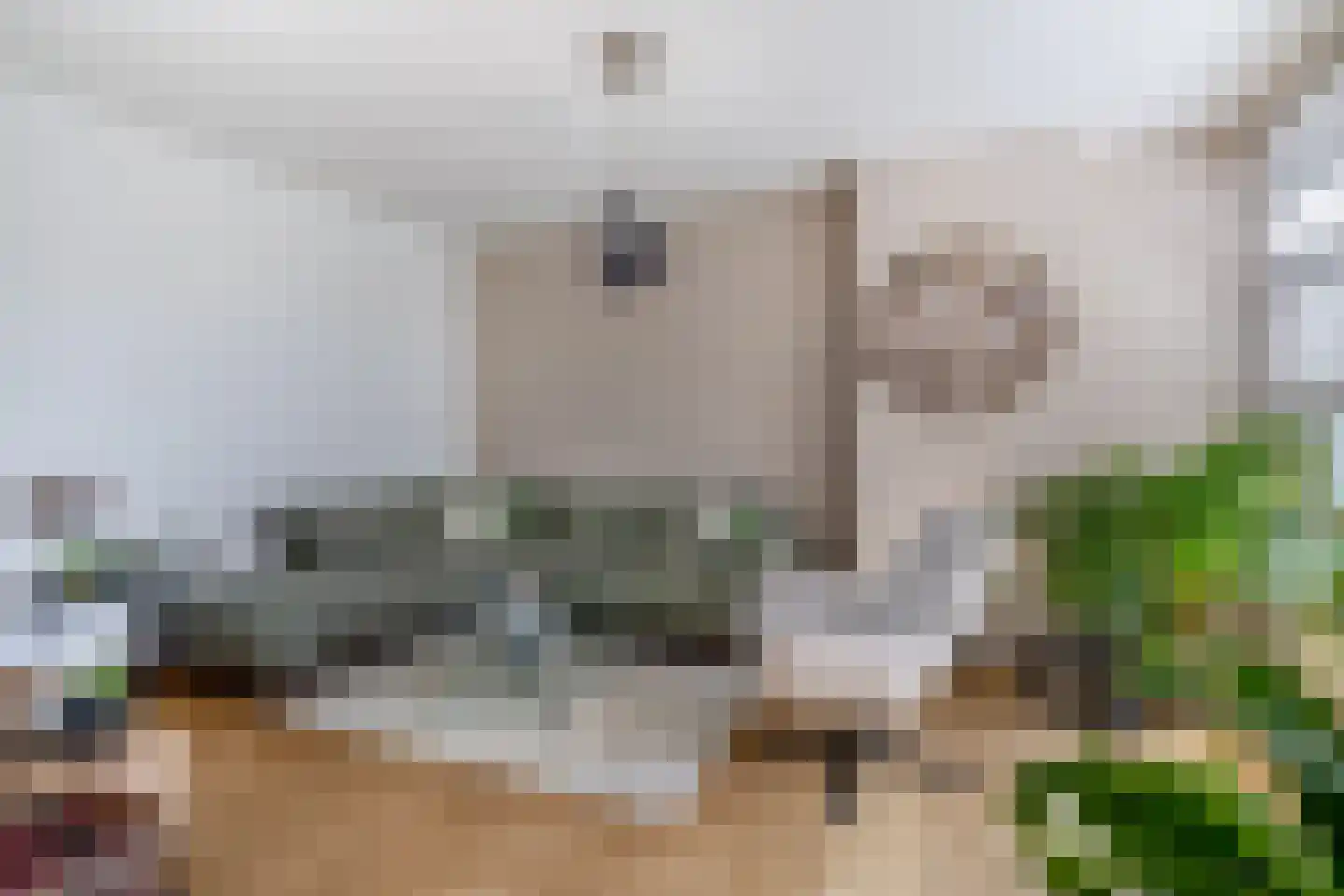 Kruisvoorde 36 Rotterdam thumbnail 26