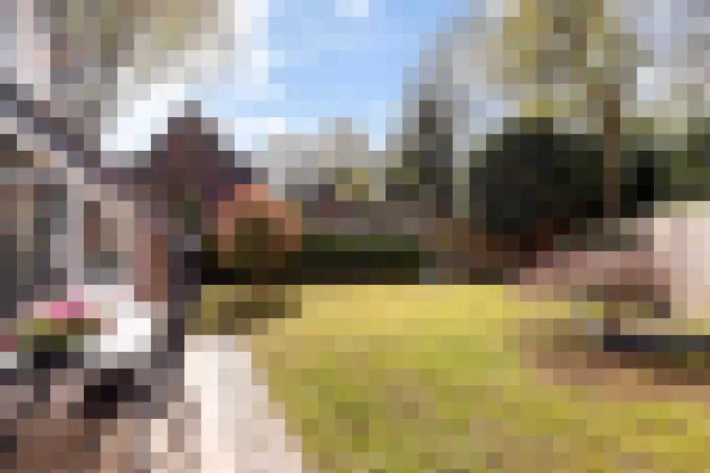 Kruisvoorde 43 Ugchelen thumbnail 20