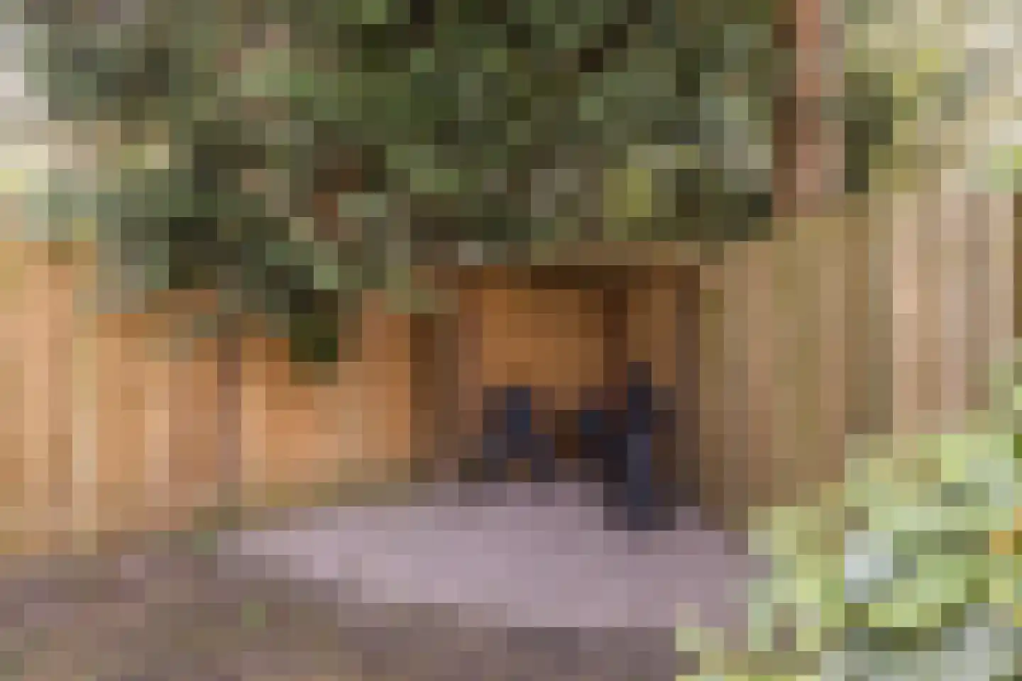 Kruisvoorde 43 Ugchelen thumbnail 25