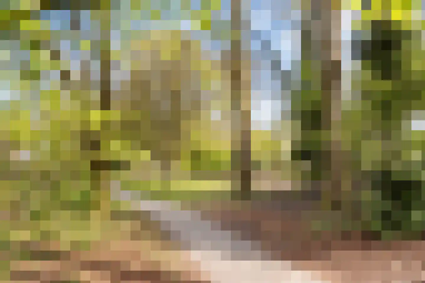 Kruisvoorde 43 Ugchelen thumbnail 44
