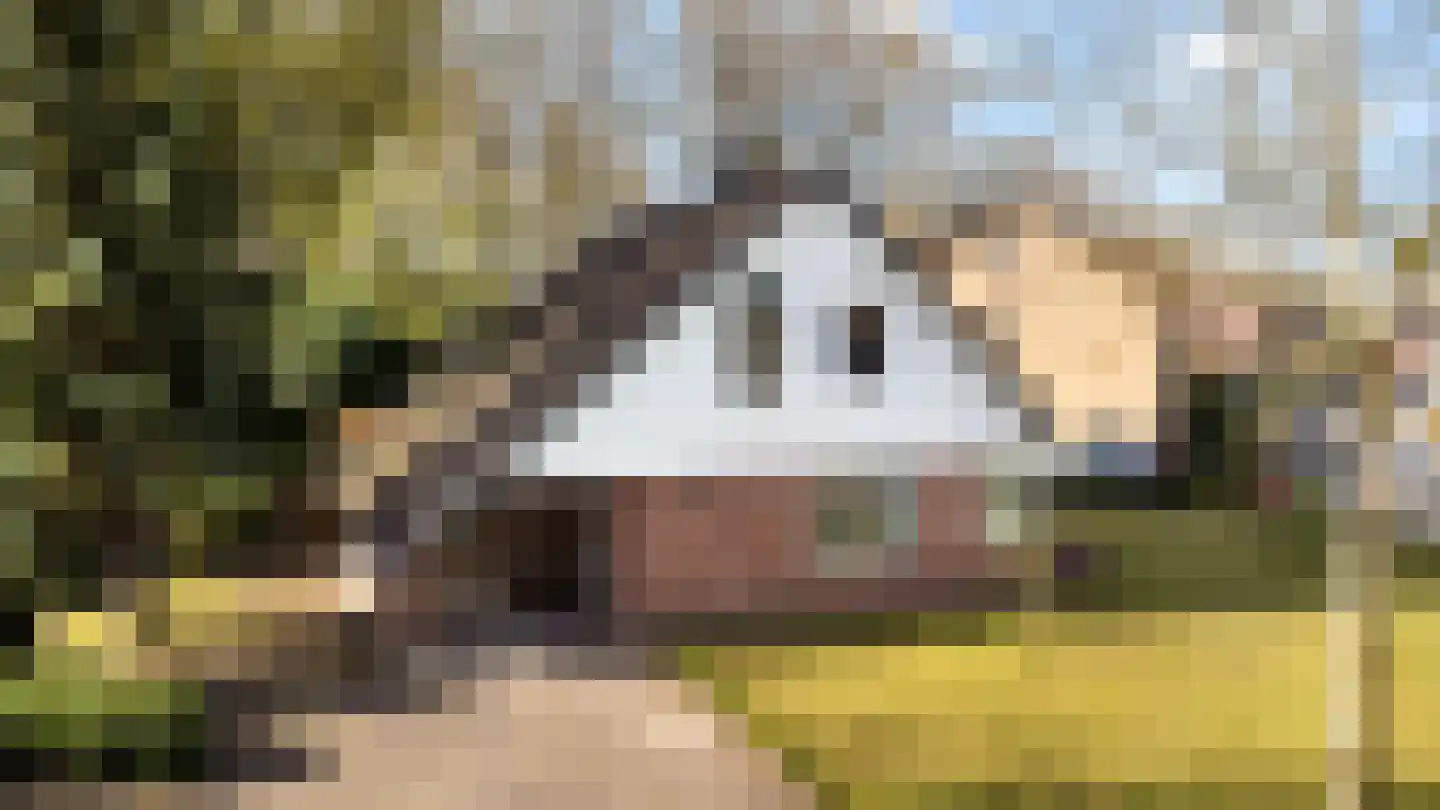 Kruisvoorde 43 Ugchelen thumbnail 46