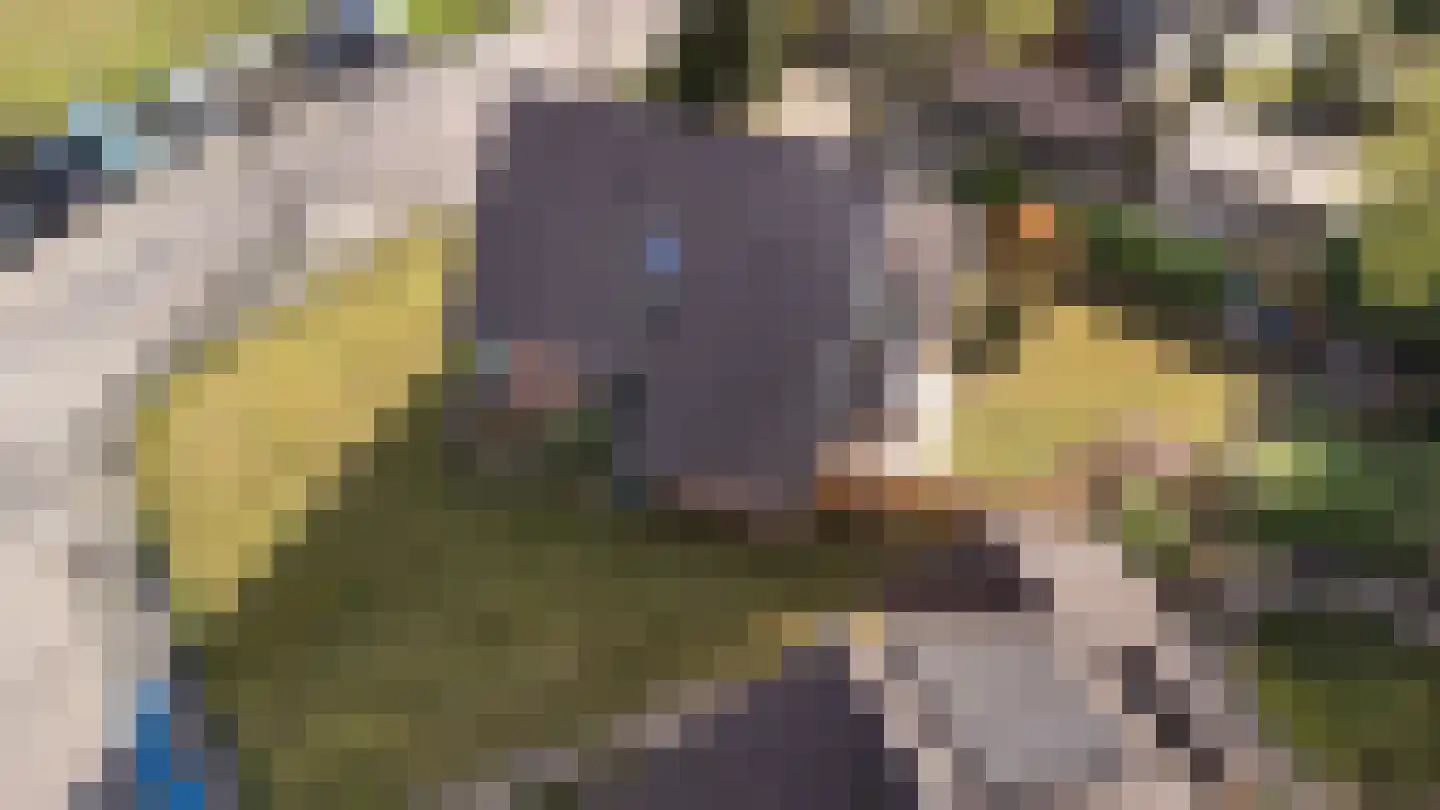 Kruisvoorde 43 Ugchelen thumbnail 47