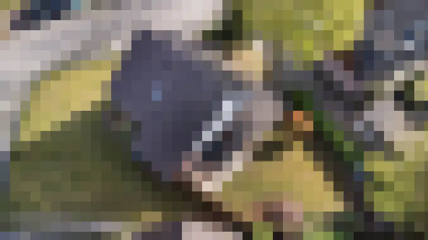 Kruisvoorde 43 Ugchelen thumbnail 48