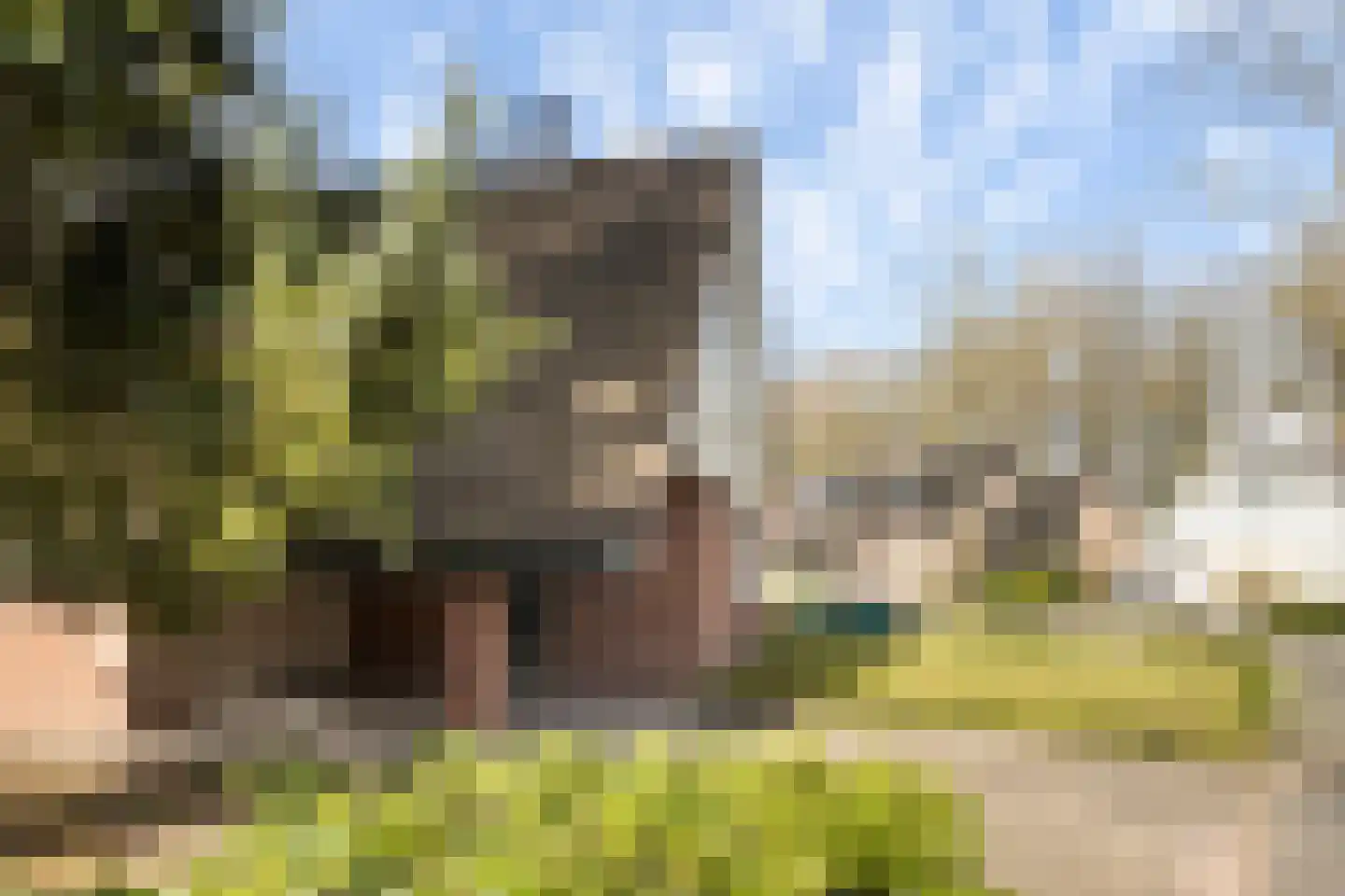 Kruisvoorde 43 Ugchelen thumbnail 5