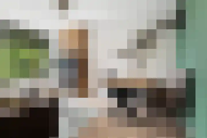 Kruisvoorde 68 Rotterdam thumbnail 10