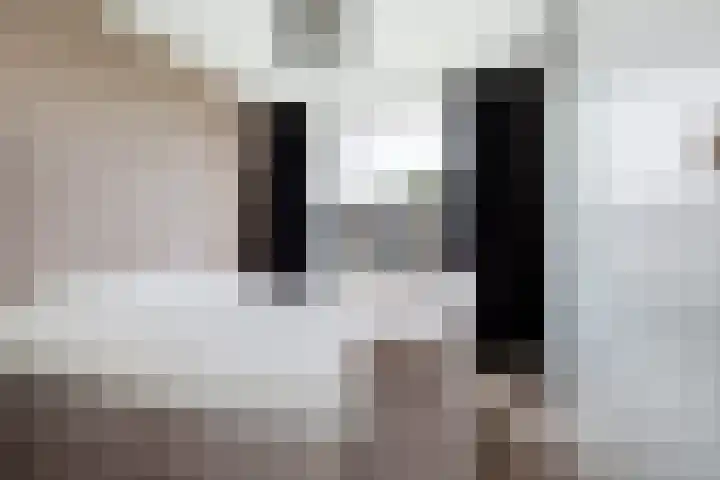 Kruisvoorde 68 Rotterdam thumbnail 17