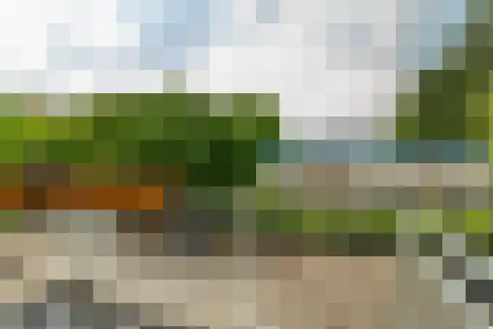 Kruisvoorde 68 Rotterdam thumbnail 23