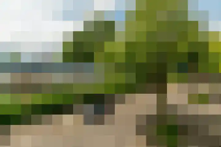 Kruisvoorde 68 Rotterdam thumbnail 25