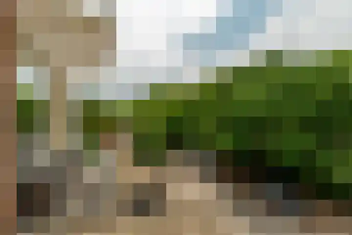 Kruisvoorde 68 Rotterdam thumbnail 26