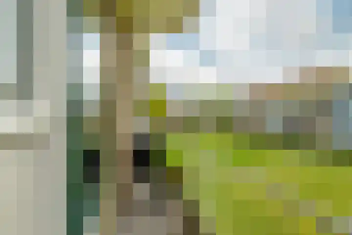 Kruisvoorde 68 Rotterdam thumbnail 27