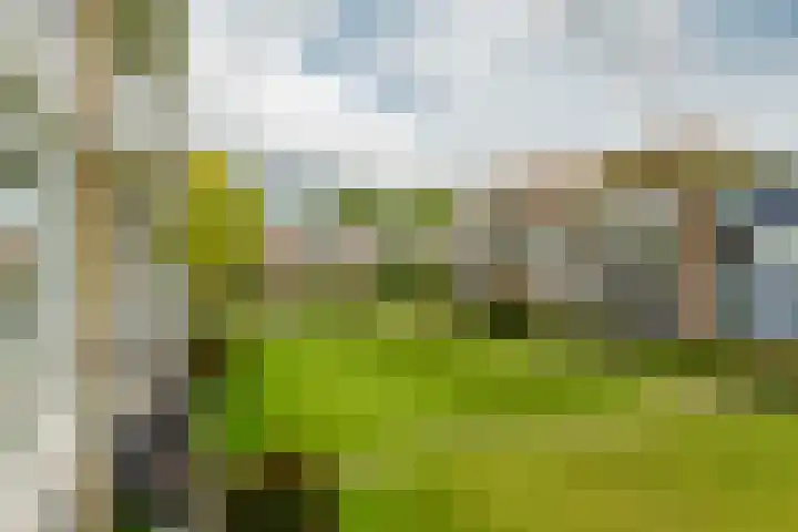 Kruisvoorde 68 Rotterdam thumbnail 30
