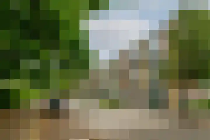 Kruisvoorde 68 Rotterdam thumbnail 5