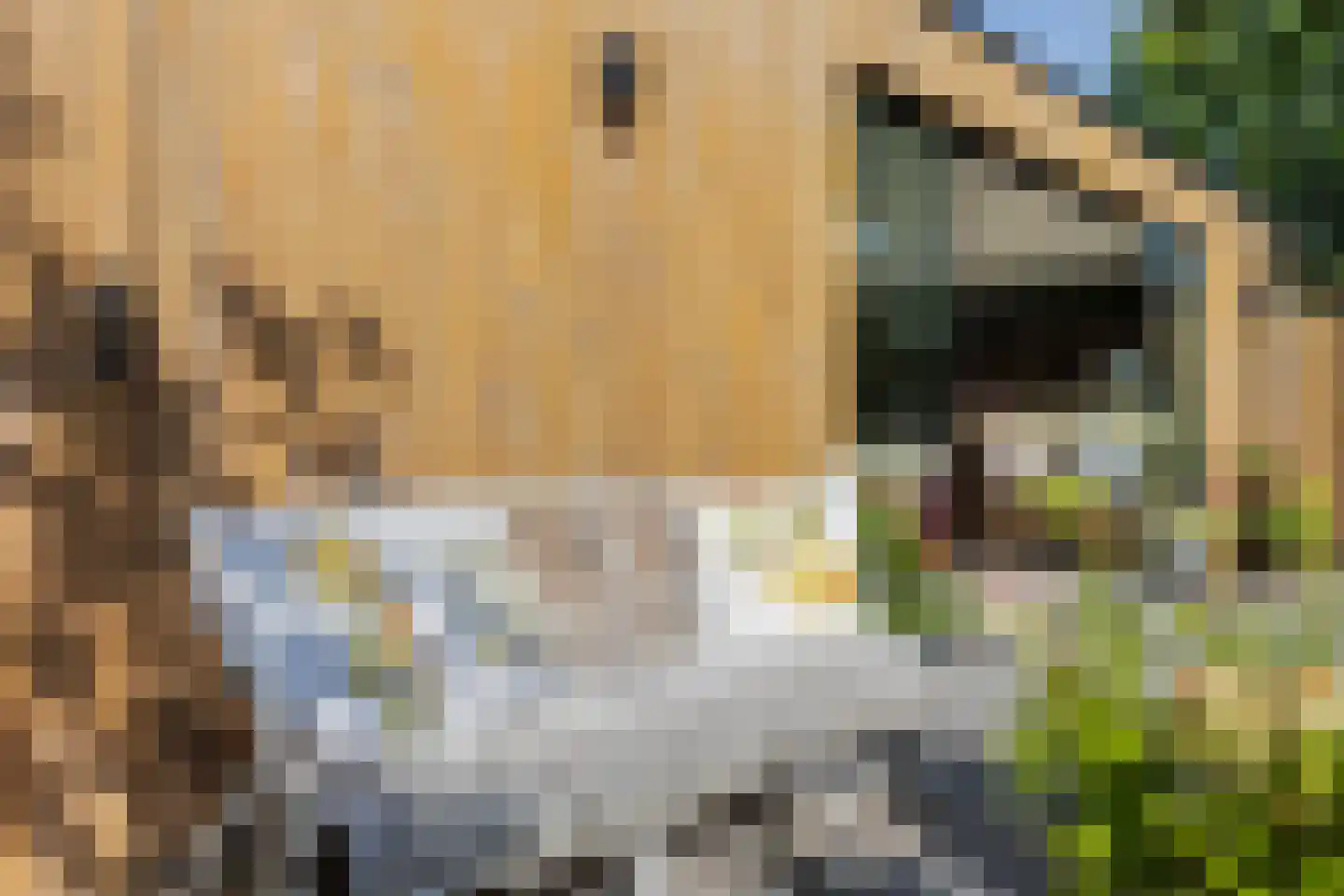 Kruisvoorde 73 Ugchelen thumbnail 23
