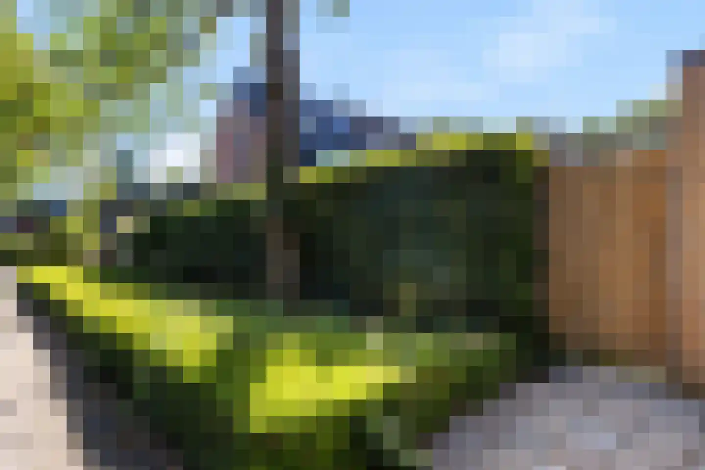 Kruisvoorde 73 Ugchelen thumbnail 28