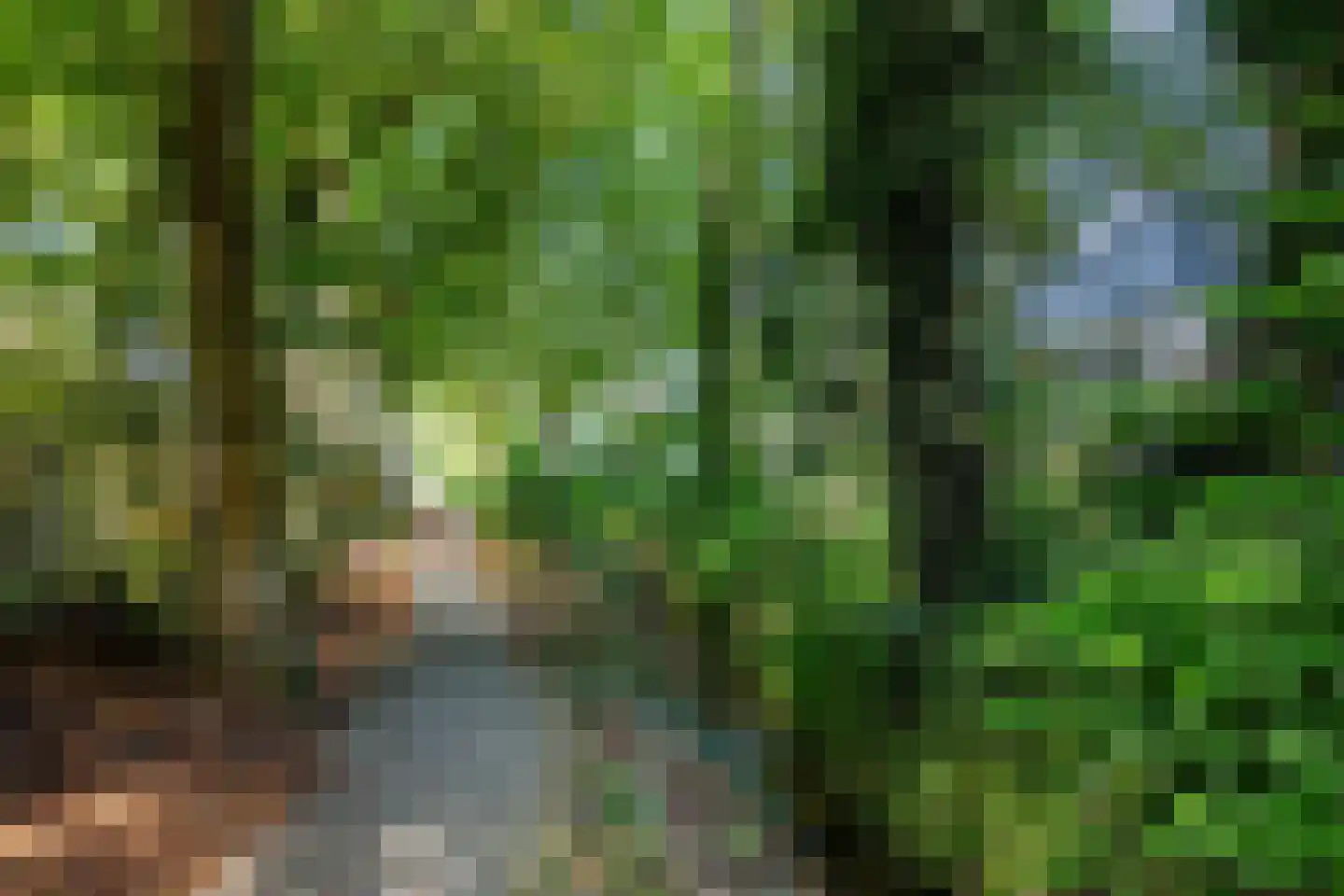Kruisvoorde 73 Ugchelen thumbnail 42