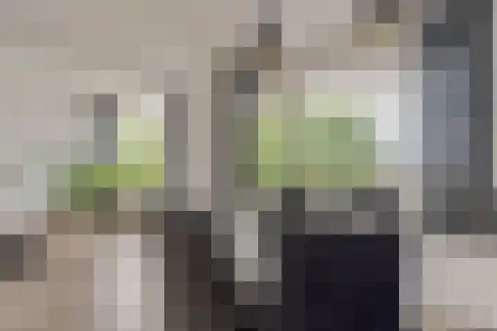 Kruisvoorde 74 Rotterdam thumbnail 11