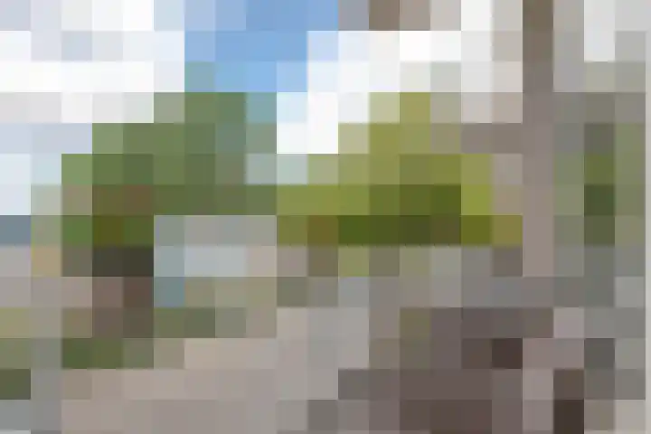 Kruisvoorde 74 Rotterdam thumbnail 12