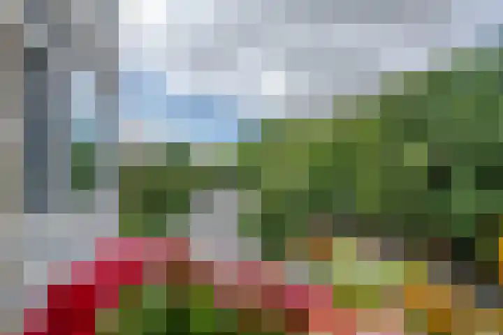 Kruisvoorde 74 Rotterdam thumbnail 14
