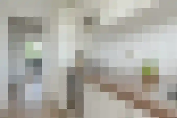 Kruisvoorde 74 Rotterdam thumbnail 16